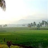 Nhảy