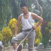 Hổ