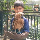 Cuộc