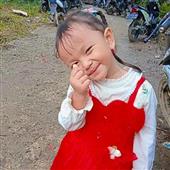 Bảng