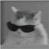 Ches