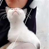 Lịch