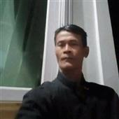 bò