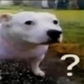 Mã k