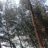 Ph