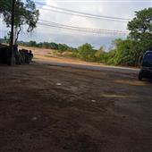 Gamb
