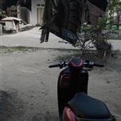 VỪNG