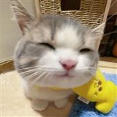 Qu