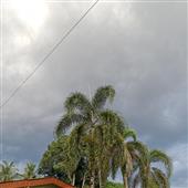 Bắ