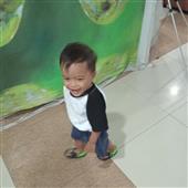 Luật