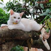 Đếm 