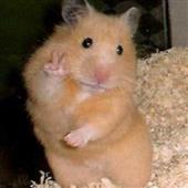 Cu