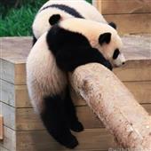 Po