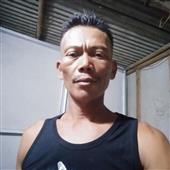 Việt