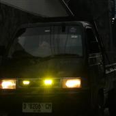 Cá