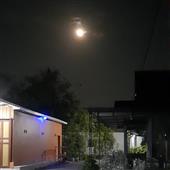 Bu