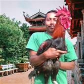Chiế