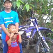 Roul