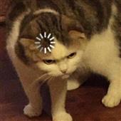 Bạ