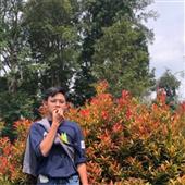 Flig