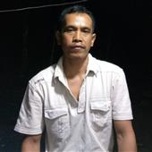 Gi