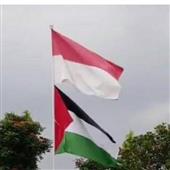Vũ