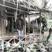 Dự