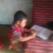 Cung