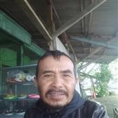 Bộ t