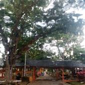 Giải