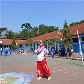 Si