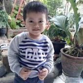 Nữ
