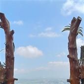 Bảng