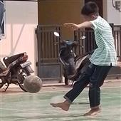 Dự