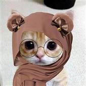 Qu