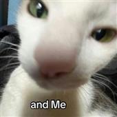 KM Đ