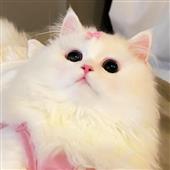 Mu