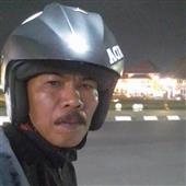 Trực