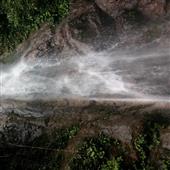 Tr
