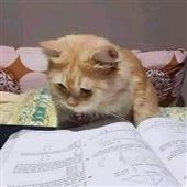 Hạ