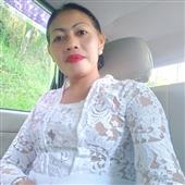 Cung
