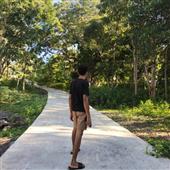 Mứt 