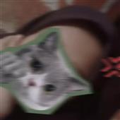 Vu