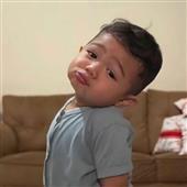 Pháo