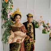 gấu 
