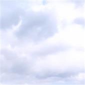 Bữ