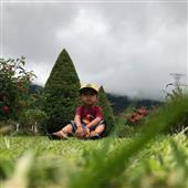 Lịch