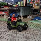 Luật