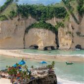 Sự