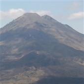 Dự